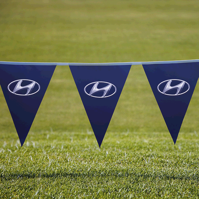 Pennants PVC Digital Single Sided Triangle