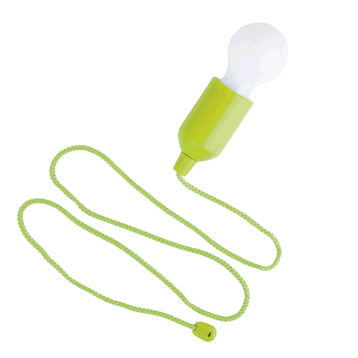 Light Bulb Shaped LED Light