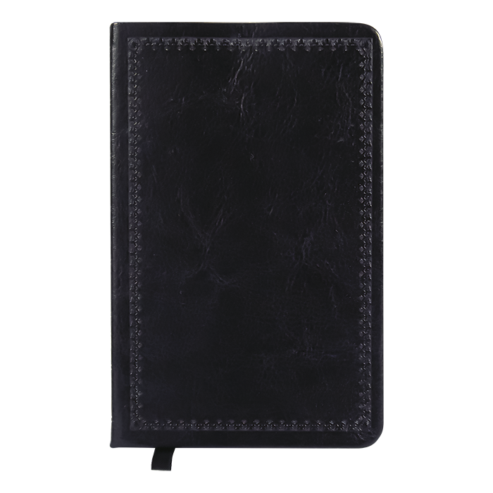 Pu Journal thumbnail