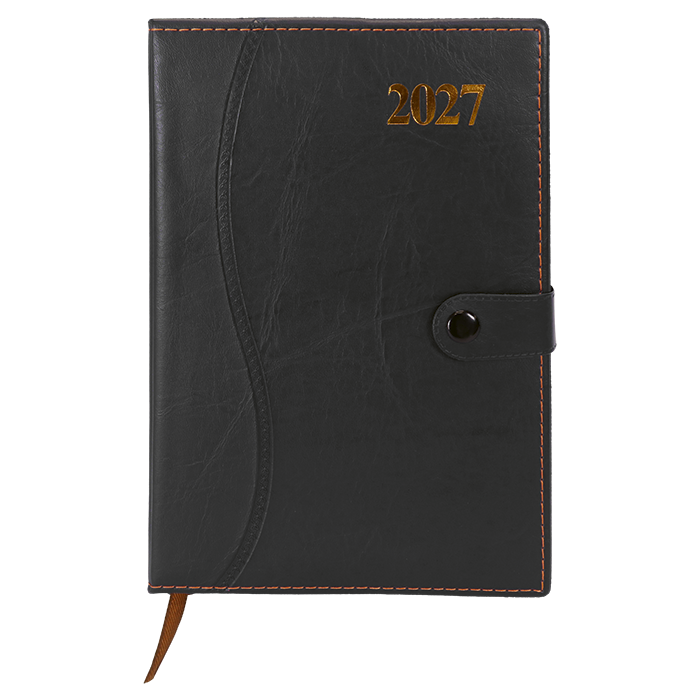 Barron 2027 Essential Diary thumbnail