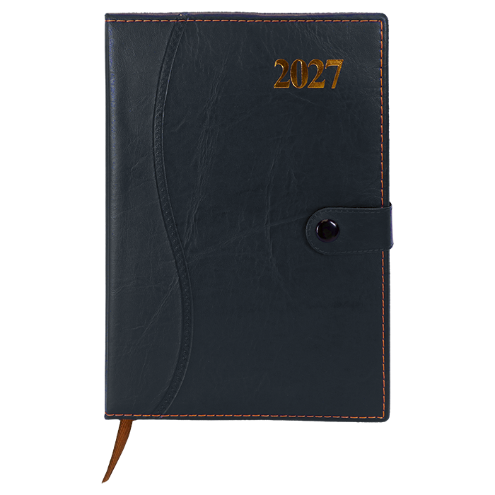 Barron 2027 Essential Diary thumbnail