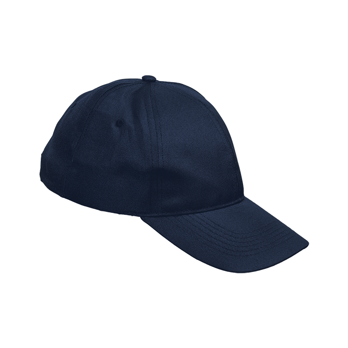 6 Panel Boost Cap thumbnail