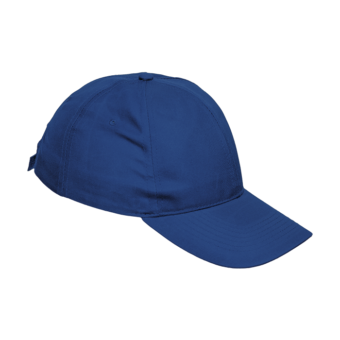 6 Panel Boost Cap alternate view