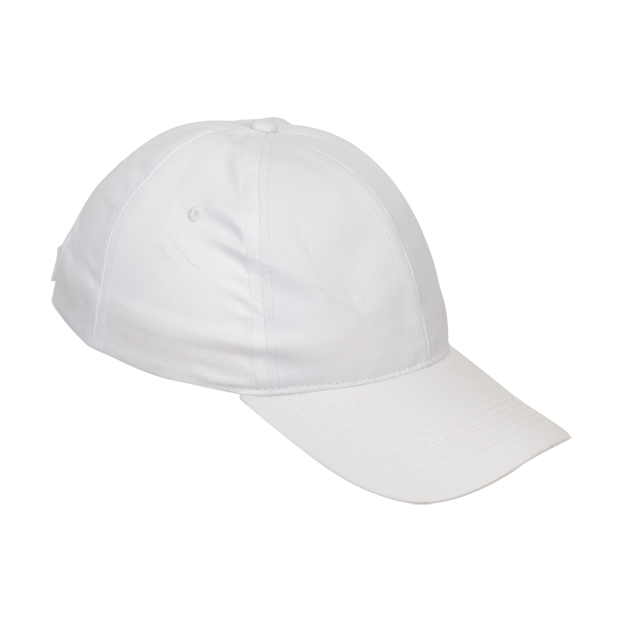 6 Panel Boost Cap thumbnail