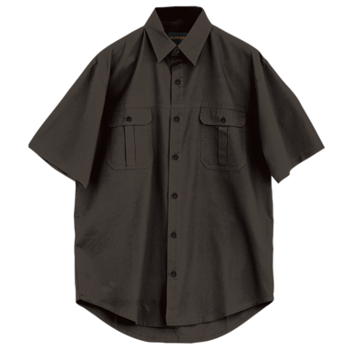 Safari