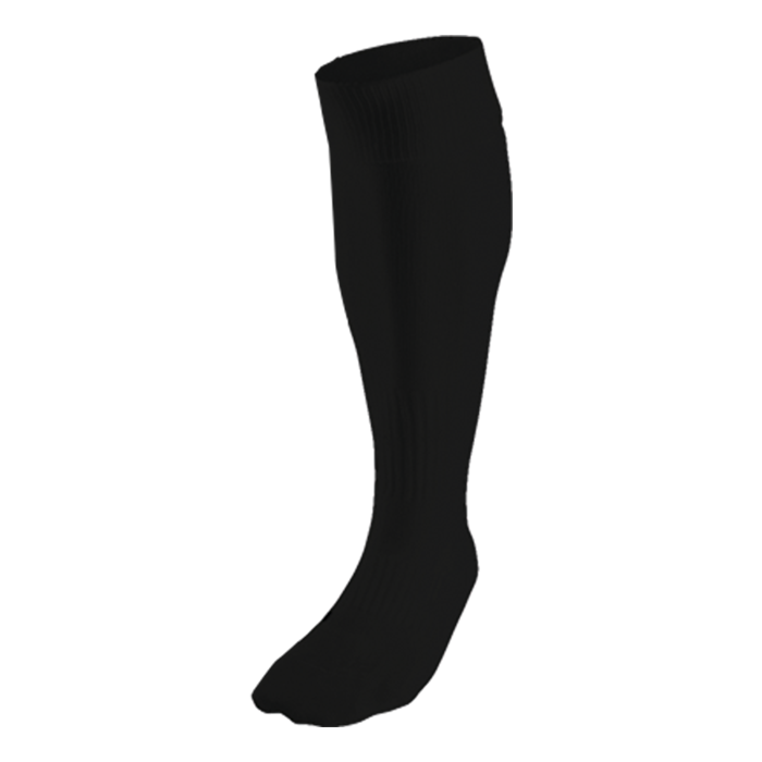 BRT Team Sock thumbnail