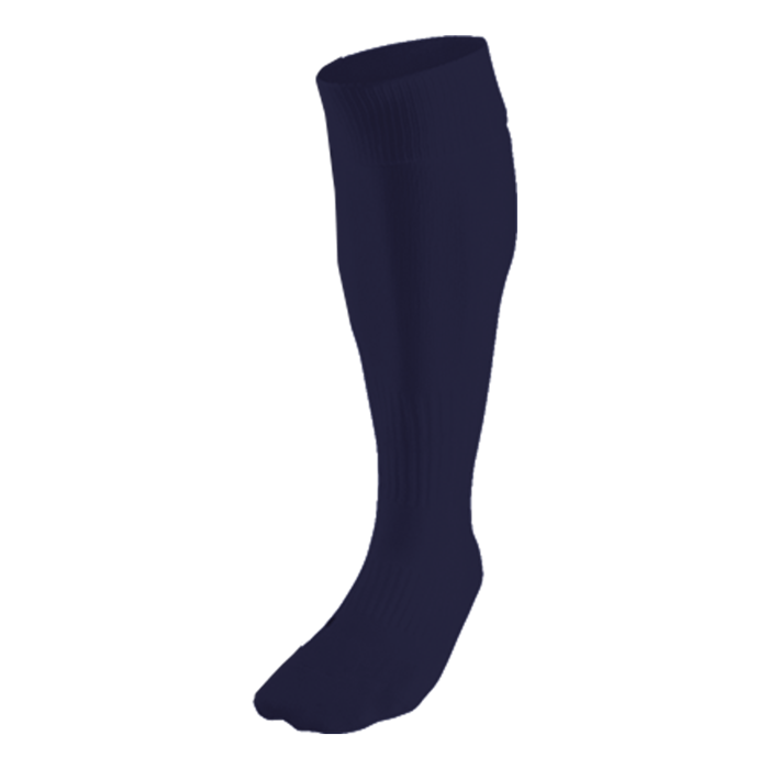 BRT Team Sock alternate view