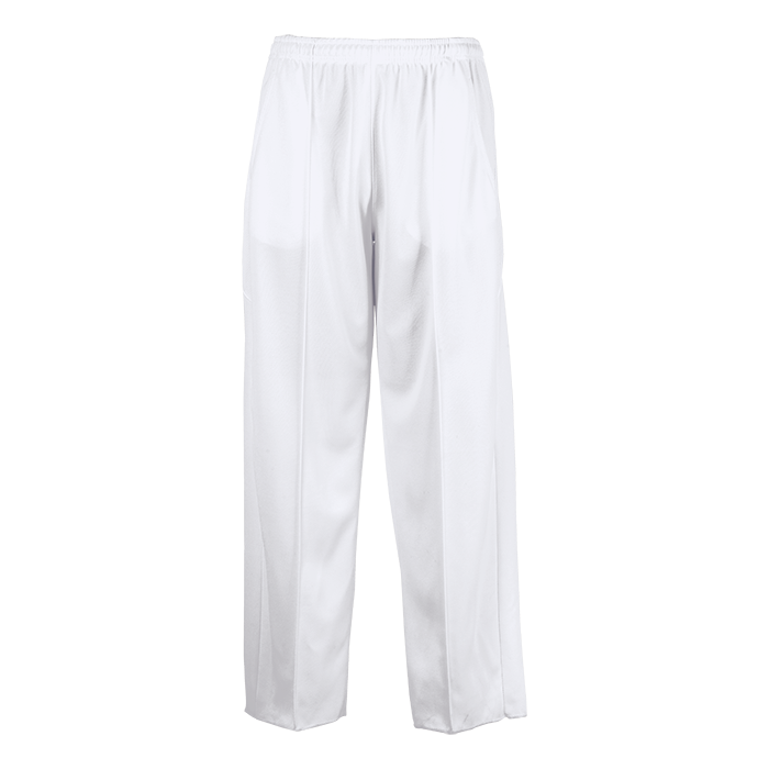 BRT Teamster Cricket Pants — back view